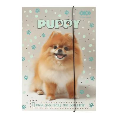 Папка для праці та зошитів А4 DOG. картонна на гумці. Kids Line 14940-22