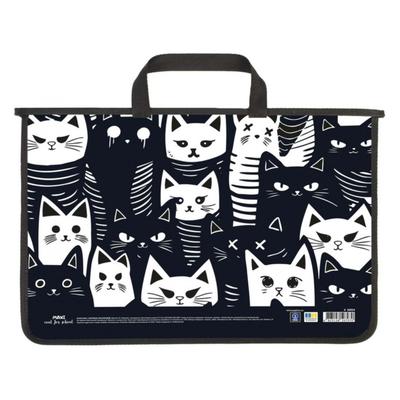 Портфель пластиковий на блискавці з ручками А4. 2 відділення. Cat. Coolforschool 30054