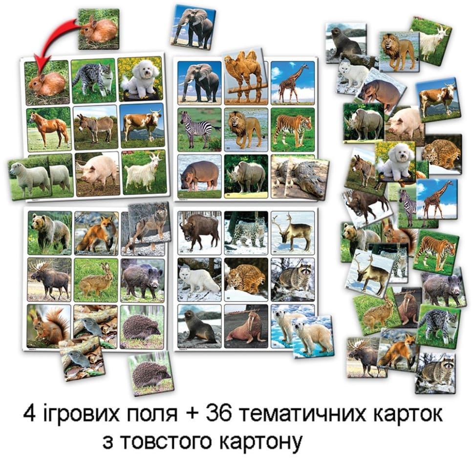 Суперлото 36 карток. Тварини.  КФІ 923