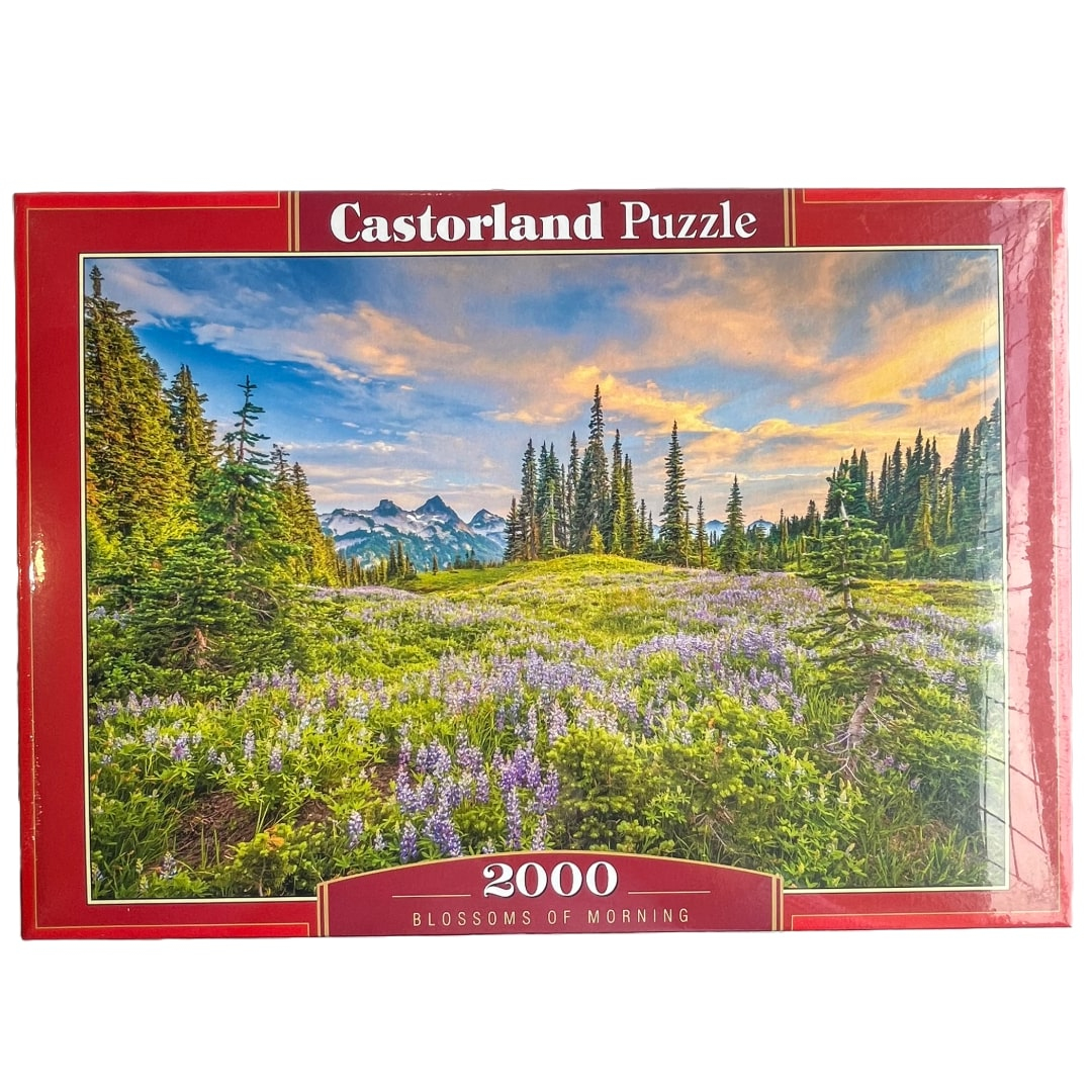 Пазл на 2000 елем. Ранкові квіти. Castorland 200863