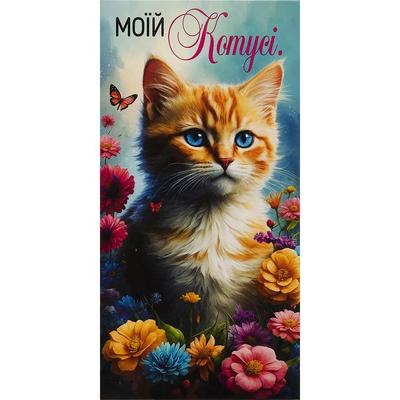 Листівка-конверт для грошей. Моїй котусі. Фреш 24-110