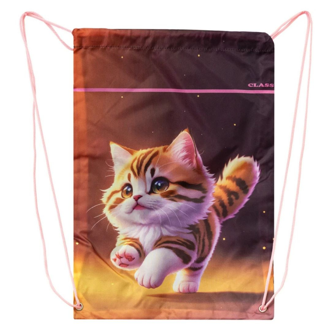 Сумка для взуття Kitty 46x33см. Class 2535